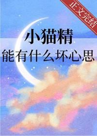 小猫精能有什么坏心思呢免费阅读