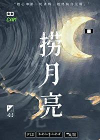 捞月亮的人歌词解析