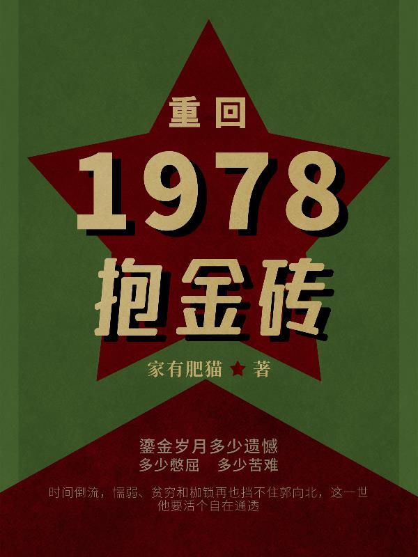 重返1978txt