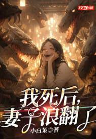 妻子死后我占