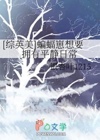 综英美蝙蝠崽马甲