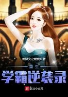 顶级赘婿全集免费观看