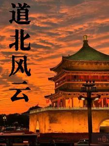 我的哥哥是高欢创世中文网